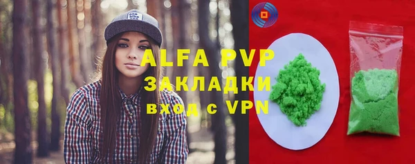 гидра Гусев