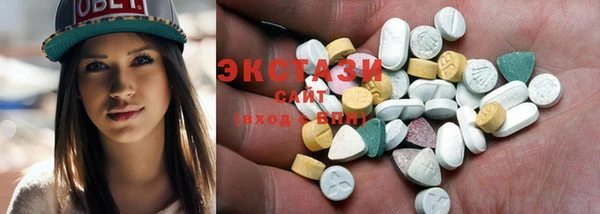 шишки Гусиноозёрск