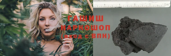 гидра Гусев