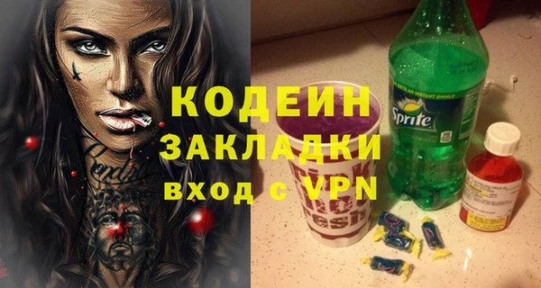 гидра Гусев
