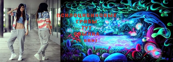гидра Гусев