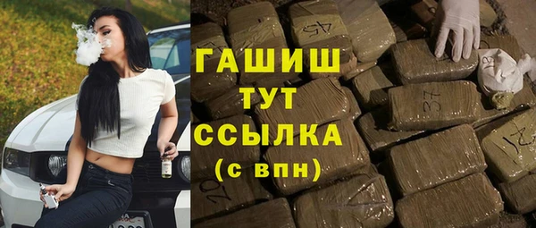 гидра Гусев