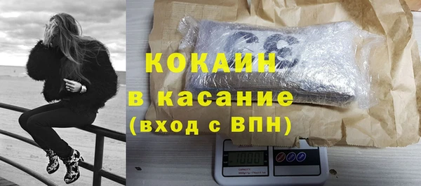 шишки Гусиноозёрск