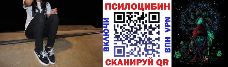 нарко площадка состав  Десногорск  Псилоцибиновые грибы Psilocybine cubensis 